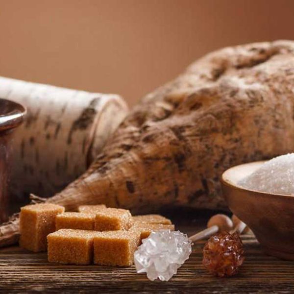 شرکت کشت و صنعت قند خاورمیانه